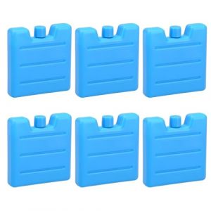 Pack de 6 Blocs de cong&eacute;lation, Bloc Glace pour Sac Isotherme, Sac de Cong&eacute;lation R&eacute;utilisables, Blocs R&eacute;frig&eacute;rants de 200 ml, Blocs R&eacute;frig&eacute;rants Plats Bleus pour Sac Isotherme ou Glaci&egrave;re (bleu) (LIJINTU LIMITED, neuf)