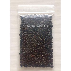 seedsown Germination Les graines: 100 graines Papillon Bleu Pois, Clitoria ternatea, Asie Pigeonwings, Thai Biologique (XLENTT, neuf)