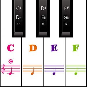 Autocollants pour notes de pian,Autocollants pour clavier de Piano debutant pour 54/61/76/88 touches. Notes autocollants pour piano pour touches blanches et noires. Transparent et amovible(FullColor) (ZhangPY-FR, neuf)