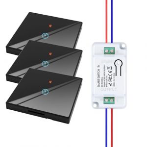 HYHIOTS Kit d'interrupteurs sans fil, interrupteur d'&eacute;clairage sans fil RF433, &eacute;metteur-interrupteur de s&eacute;curit&eacute; sans fil 230V et contr&ocirc;leur-r&eacute;cepteur 10A, interrupteur sans fil, interrupteur (HYHIOTS SMART LIFE, neuf)