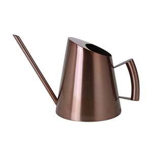 Anawakia Arrosoir en acier inoxydable - Longue bouche - En m&eacute;tal dor&eacute; - Petit arrosoir pour plantes d'int&eacute;rieur - 1500 ml - Cuivre. (Anawakia, neuf)