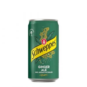 Schweppes Ginger Ale Bebida Refrescante - 250 ml PACK 24unid (LOGAN MALL, neuf)