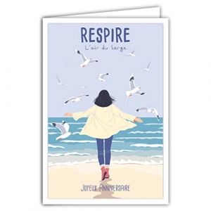 69-4364 Carte Joyeux Anniversaire avec Enveloppe - Mini Poster Format 17x11,5cm Style R&eacute;tro Vintage - Respire l'air du large Femme face &agrave; la Mer Plage Mouettes - Fabriqu&eacute;e en France (A.F.W., neuf)