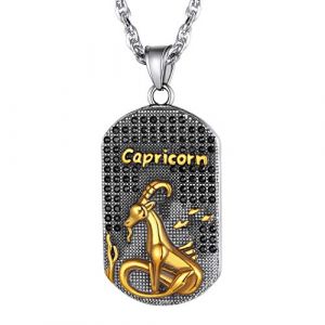 Pendentif Médaille Signe Astrologique Zodiaque Capricorne-Collier 12 Constellations Homme Acier 316L Dorée et Plaqué CZ en Strass Brillant avec Chaîne Ajustable 55-60cm,Cadeau Anniversaire Hommes (Richsteel Jewellery, neuf)