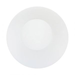 G&eacute;n&eacute;rique Abat-jour sph&eacute;rique en verre laiteux 250 mm de diam&egrave;tre globe rond suspendu et lampadaire verre r&eacute;sistant &agrave; diffusion lumineuse douce rechange pour luminaire int&eacute;rieur (CLACKUI, neuf)