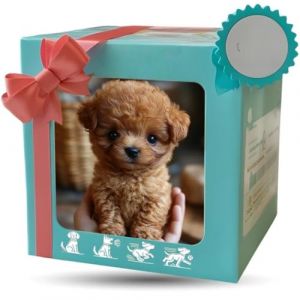 Générique Nouveau Chien Robot 2025 pour, Mon Chiot Robot réaliste Qui agit comme Un Vrai Chiot - Marche, aboie, remue la Queue,Un Chien Jouet Qui Marche et aboie (TJITGY Direct, neuf)