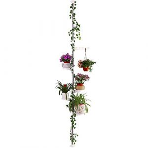 Hershii 5 Couches Supports de Pots de Fleurs Télescopique Porte Stand de Plante Intérieur Pôle d'Angle Barre de Tension à Ressort Réglable Étagère de Rangement du Sol au Plafond - Ivoire (ybqBlessU_Shop, neuf)