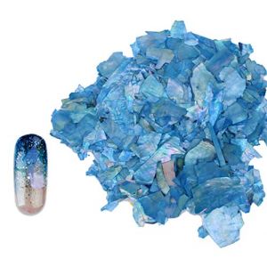 Ranvi Nail Jewelry Coquille Paillette Abalone Slice Nail Patch Paillettes D&eacute;coratives (RuiyingTech-EU, neuf)
