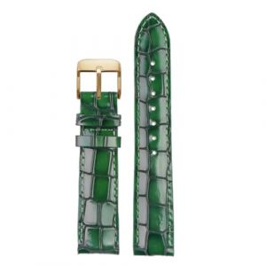 Qgsaghty Bracelet de montre en cuir de veau &agrave; Texture Crocodile pour hommes, 18mm, 20mm, 22mm, accessoires de montre, boucle solide, bleu, vert, marron, Or vert, 22mm (GuoFuTunShangMao, neuf)