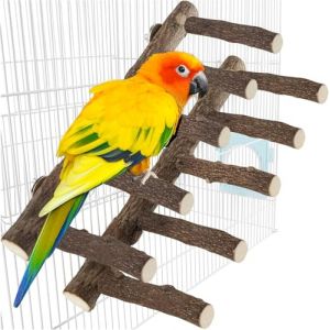 Lot de 2 supports en bois pour perroquet, 30,5 cm de long, &eacute;chelle naturelle pour perroquets de petite et moyenne taille, conures, hamster, perruches, calopsittes (LZMDISU, neuf)