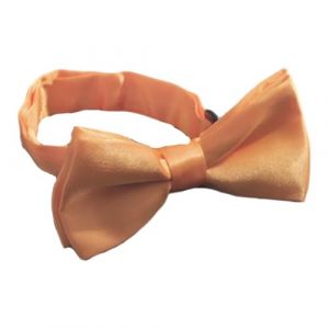 KIXZSAZ N&oelig;ud papillon de Style classique pour gar&ccedil;ons, accessoire de mode pour chaque Occasion, mignon gar&ccedil;on enfant, n&oelig;ud papillon pour enfant, robe haut bas, un (hiscretiond, neuf)