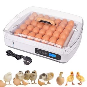 MUALROUS 35 Incubateur d’Œufs Avec Rotation Automatique Des Œufs Contrôle De La Température Et De l’Humidité Incubateur De Volaille Œuf De Poule Bougie Poulet Canard Caille Oiseau (Menglian shangmao, neuf)