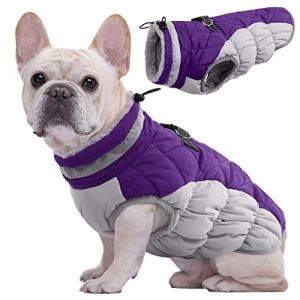 Kuoser Manteau d'hiver Imperm&eacute;able pour Chien Veste Chaude Doubl&eacute; en Polaire pour Chiot avec Col en Fourrure Gilet Coupe-Vent Ext&eacute;rieur V&ecirc;tement R&eacute;fl&eacute;chissant pour Petits Moyens Grands Chiens (Kuoser_Official, neuf)