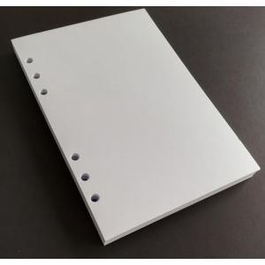 Recharge de 100 feuilles blanches (200 faces) papier &eacute;pais 120 g/m&sup2; avec 6 trous pour agenda format A5 avec 6 anneaux 14,5 x 20,5 cm. (FiLOPLANNeR, neuf)