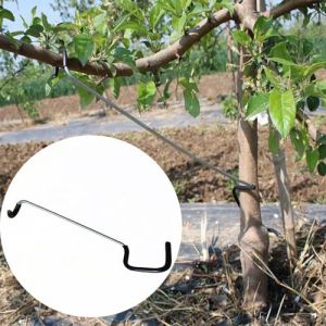 LEILINLIFE Lot de 10 épandeurs de branches d'arbres fruitiers - Solution durable pour support d'arbre - Extension de branches (35,6 cm) (chu+, neuf)