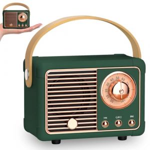 PORFOYO Mini Haut-Parleur Bluetooth R&eacute;tro, Portable Haut-Parleur sans Fil avec Radio FM, Rechargeable Poste Radio Vintage, Bluetooth 5.0/USB/TF/Aux, pour Vintage D&eacute;coration (G) (TRUST AND BU, neuf)