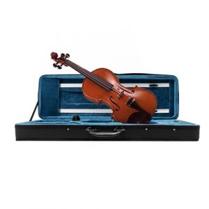 RjcdOPL &Eacute;tui pour Violon 4/4, Tissu Oxford Renforc&eacute; Imperm&eacute;able, L&eacute;ger 1,7 kg Portable, avec Poign&eacute;e, Bretelles Amovibles et R&eacute;glables, Compartiments Multiples (RjcdOPL, neuf)