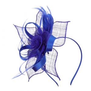 Anneome Bandeau Vintage Accessoires Cheveux Pour Femmes Bandeau Kopfschmuck Haarschmuck Casque &agrave; Clapet Vert Coiffure De Banquet Casque De Th&eacute; Coiffure De La Mari&eacute;e Blue (Zzenpu, neuf)