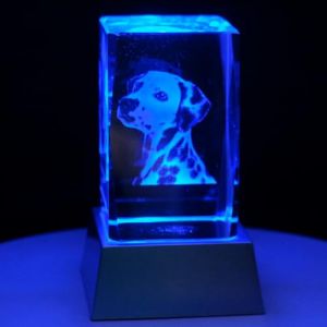 Kaltner Pr&auml;sente Lumi&egrave;re d'ambiance - Un cadeau tr&egrave;s sp&eacute;cial : bougie LED / bloc de verre en cristal / gravure laser 3D animaux chiens dalmatiens / &eacute;clairage aux couleurs de l'arc-en-ciel (Kaltner Pr&auml;sente, neuf)