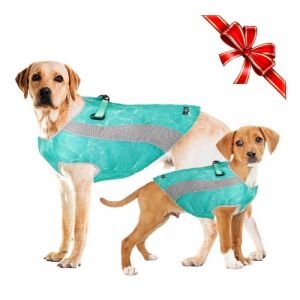 Manteau d'hiver pour Chien et Gilet de Refroidissement pour l'&eacute;t&eacute; Veste pour Chien &agrave; Double Usage avec Harnais D Snap, Manteau Chaud et Coupe-Vent pour l'hiver, Gilet de Refroidissement pour l'&eacute;t&eacute; (TVMALL, neuf)