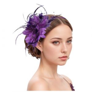 Chapeau bibi vintage pour femme - Voile de mari&eacute;e - Accessoire de cheveux - Plume - Voile - Banquet - Chapeau en maille - Barrettes &agrave; cheveux &eacute;l&eacute;gantes - Pour carnaval, cocktail, th&eacute; (Woybda, neuf)
