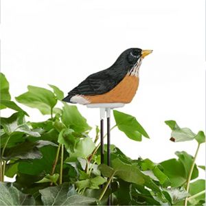 ZYWUOY Humidimètre du sol, hygromètre, capteur d'humidité en forme d'oiseau, alarme d'arrosage, testeur d'eau pour plantes, hygromètre, capteur d'humidité d'alarme noir (Carpango, neuf)