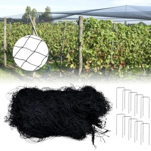 Filet Protection Oiseaux, 5m x 15m Filet Anti Oiseaux, Filet Voliere, Filet Poulailler, Filet Poules, Réutilisable Filet Anti Pigeon Convient pour Protéger Potagers Fruits Contre Dommages (DING VICTORY LIMITED, neuf)