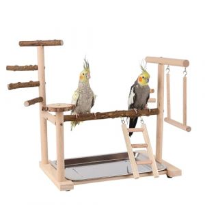 BeauFairy Aire de Jeux pour Oiseaux, Support de Jeu en Bois pour Perroquet, avec Gobelet d'alimentation Balançoire Échelle, Support de Jeu pour Perroquet pour Calopsittes, Conures, 36*23*39CM, F556 (BeauFairy-Orchid, neuf)