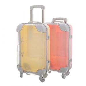 WOFASHPURET 2 pièces Boîte de Rangement Cosmétique Transparente Portable Malette Mini Valise pour Faux Cils et Accessoires Étui de Protection et Réutilisable (Leiyun, neuf)