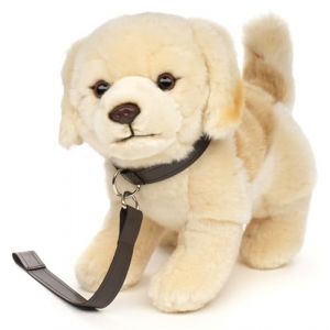 Uni-Toys - Golden Retriever Chiot Debout (avec Laisse) - 22 cm (Hauteur) - Peluche Chien, Animal de Compagnie - Peluche, Peluche (VISO TRADE, neuf)