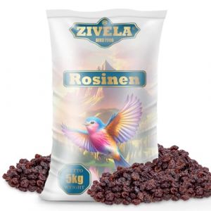 5 kg de raisins secs naturels pour oiseaux &ndash; Friandises id&eacute;ales pour vos amis &agrave; plumes &ndash; Rosines alimentaires 100 % naturelles | Raisins secs pour oiseaux 5 kg | Nourriture pour oiseaux sauvages | (ZIVELA, neuf)