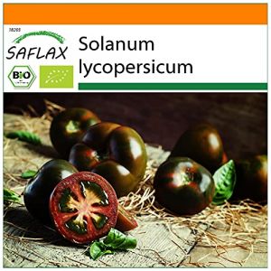 SAFLAX - Jardin dans le sac - BIO - Tomate - Cerise noire - 10 graines - Avec substrat de culture dans un sac de levage facile &agrave; manipuler. - Solanum lycopersicum (SAFLAX, neuf)