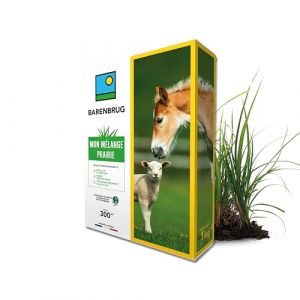 BARENBRUG - Mélange Prairie - Productif et Appétent - Rapide d’Installation - Très Bonne Pérennité - Production Alimentation pour Animaux - Fabriqué en France - 1KG (Barenbrug, neuf)