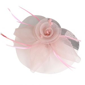 Bibi r&eacute;tro en tulle pour douche nuptiale - Pince &agrave; cheveux artisanale - Bandeau &agrave; plumes pour f&ecirc;te de th&eacute; - &Eacute;v&eacute;nement - Bibi pour femme (guangzhouzhifangkejiyouxiangongsi, neuf)