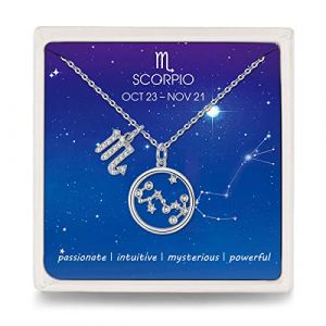 Qings Collier CZ Scorpion Argent Astrologie Zodiac Constellation Collier Minimaliste Pendentif Cadeaux Graduation pour Filles (LiSQ EU, neuf)