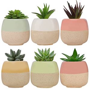 BELLE VOUS Mini Cache Pot en C&eacute;ramique (Lot de 6) - L6 x H5,5 cm - Pot Cactus et Fleur avec Trous de Drainage - Maison, Bureau, Int&eacute;rieur, Ext&eacute;rieur et Jardin - Pot de Cactus et Succulentes (Tinyyo Europe, neuf)