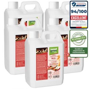 KieselGreen Bio&eacute;thanol 25 Litres avec Parfum pour Chemin&eacute;e &agrave; l'&eacute;thanol - Bio&eacute;thanol comme Parfum d'ambiance - Parfum pour Chemin&eacute;e &agrave; l'&eacute;thanol Bio int&eacute;rieur ou feu de Table au Bio&eacute;thanol (KBH Online, neuf)
