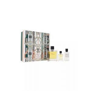 HERMES Terre D'Hermes Set (Parfum 75ml + Mini 12,5ml + After Shave 40ml) (Cosmoroutine, neuf)
