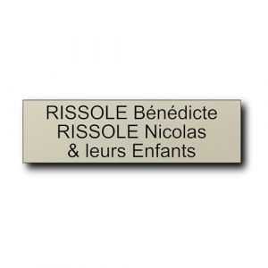 Plaque bo&icirc;te aux lettres personnalisable 12 x 3,5 cm - Gravure laser PVC - Plaque nom adh&eacute;sive - &Eacute;tiquette porte/sonnette - Plaquette signal&eacute;tique personnalis&eacute;e (Amande) (France-gravures, neuf)