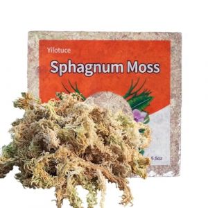 Yilotuce 155g Sphaigne pour Plantes, Premium Compressé Sphaigne pour Orchidées (Yilotuce, neuf)