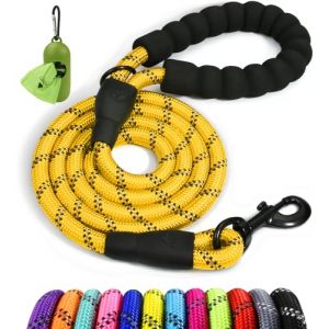 Taglory Laisse Chien Corde, Laisse pour Chien en Nylon avec Poignée Rembourrée Douce et des Fils réfléchissants, 150cm x 1.0cm, Jaune (Taglory-EU, neuf)