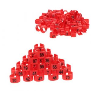 Lot de 100 anneaux pour cuisse de poulet,Bague pour Poule,Bague de Pied de Pigeon,anneaux de cheville pour cuisses de volaille,num&eacute;ros de 1 &agrave; 100 Pour Pattes de Volaille,Poussins, Canards(rouge) (yangjianghejiaweishangmaoyouxiangongsi, neuf)