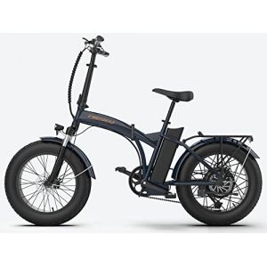 EMotorad Toledo | Vélo Électrique Pliable pour Adultes | Pneus Kenda Fat Tire 20x4 | Moteur 36V 250W | Batterie Amovible 13Ah | 5 Niveaux d’Assistance | Écran LCD (Bleu) (EMotorad - EU, neuf)