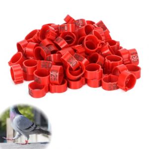 100 Pi&egrave;ces Bagues de Cuisse de Volaille 12mm - Anneaux d&rsquo;Identification et de Pigeon - Bagues de Pied de Volaille (Toothbace-FR, neuf)