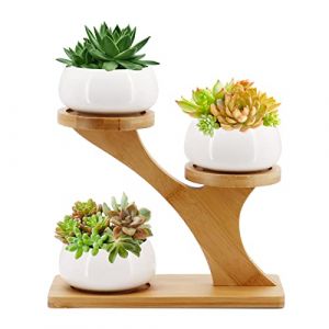 Gearific Pots de fleurs en céramique avec plateau en bambou, petits pots de fleurs en forme de cactus pour la maison, le bureau, le rebord de fenêtre (rond) (ZhuoYi-EU, neuf)