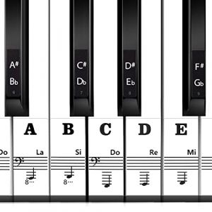 SAVITA Stickers Pour Piano, Autocollants pour Notes De Piano pour Clavier De Piano 37/49/54/61/88 pour Débutants Apprentissage Facile (iHision, neuf)