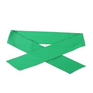 WRITWAA Bandeau D'entraînement Bandeaux Pour Femmes Sport Élastique Extensible Bande De Cheveux Bandeau Union Jack Bandeaux Femmes Bands à Cheveux Pour Femmes Refroidissement Vert En Tissu (Saieli, neuf)
