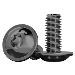 Drenky 10 Pièces M8x12mm Vis à Tête Plate Avec Bride, Vis Torx Noir ISO 7380-2 à Tête Bombée à Bride Acier Inoxydable A2 V2A à Tête Plate Avec Rondelle, Filetage Complet (Drenky-EU, neuf)