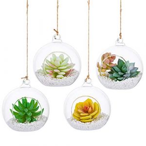 Glasseam Terrarium en Verre Suspendu 4 Pièces Grande Ouverture Vase Plante Boules 10cm Fleur Vase Pot Boules De Verre Creativesverre la Conception de Bricolage de Jardin de Mariage à la Maison (Gasseam, neuf)