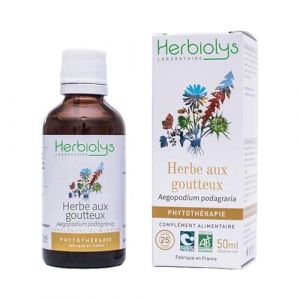Herbiolys | Extrait De Plantes Fraîches Bio | Herbe aux goutteux (Aegopodium podagraria) | Articulation & Détox | Phytothérapie Bio | 50 ml (BIVEA, neuf)